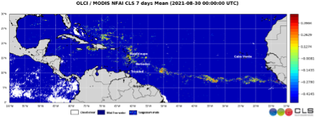 Sargassum detection from Sentinel-3 & MODIS sensors showing the sargassum presence spreaded over the Tropical Atlantic Belt